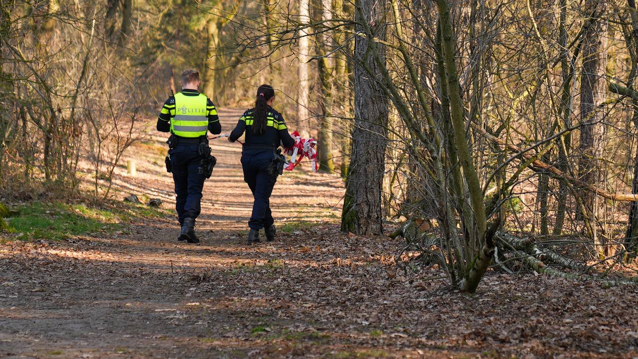 De politie zoekt in de bossen naar sporen van de overvaller (foto: Harrie Grijseels/SQ Vision).