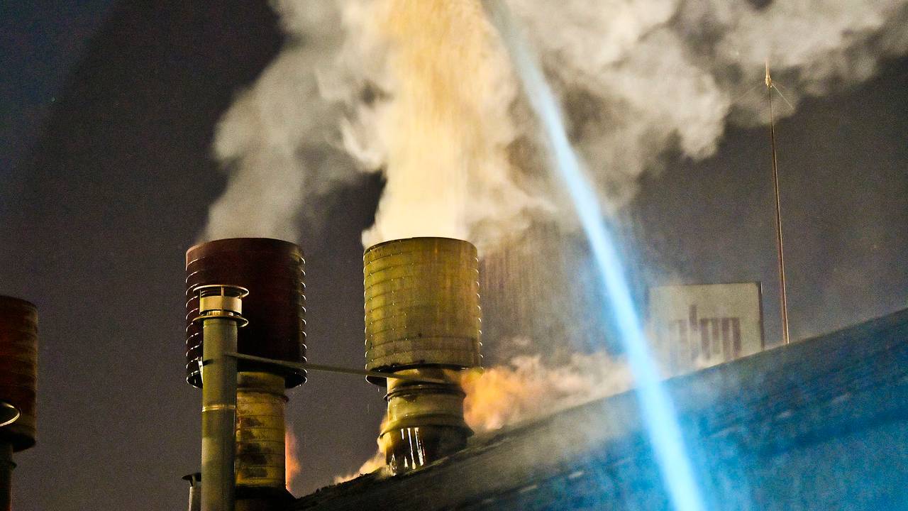 Foto: Rico Vogels/SQ Vision Mediaprodukties