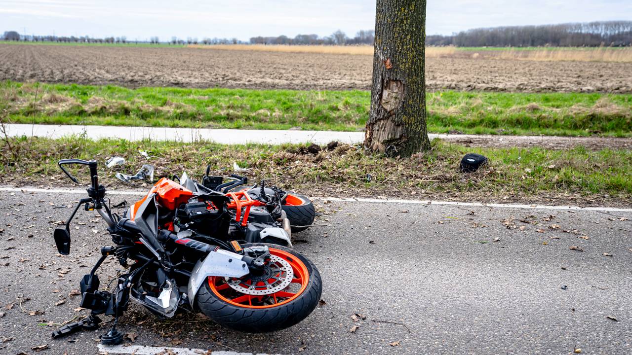 Foto: Marcel van Dorst