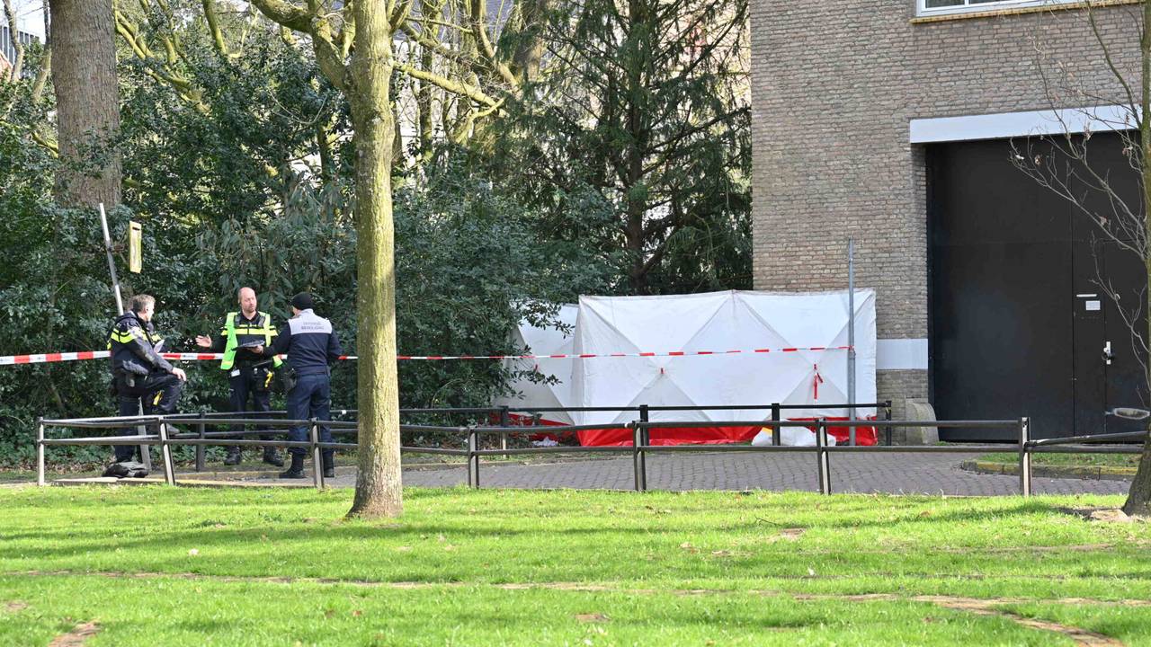 Foto: Tom van der Put/SQ Vision