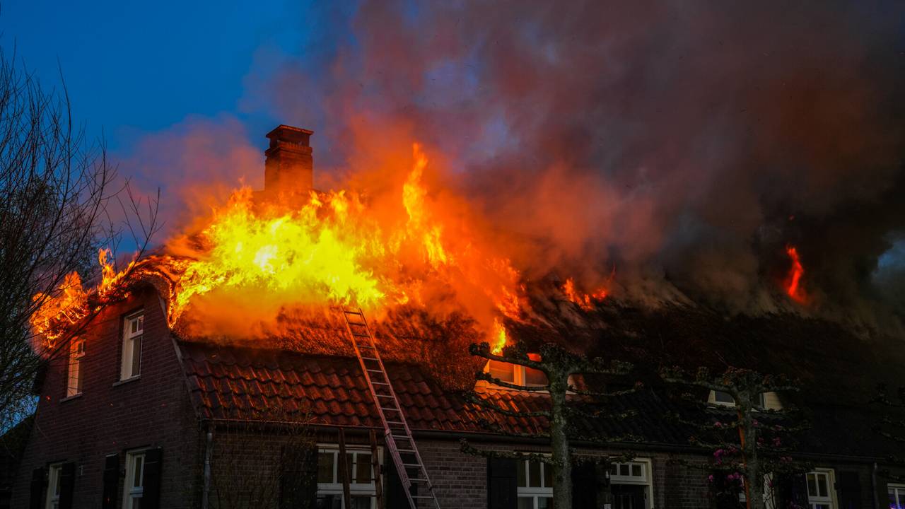 Foto: Dave Hendriks/SQ Vision