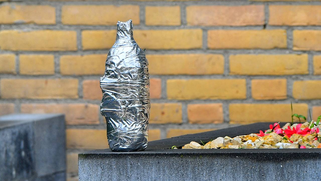 Foto: Rico Vogels / SQ Vision.