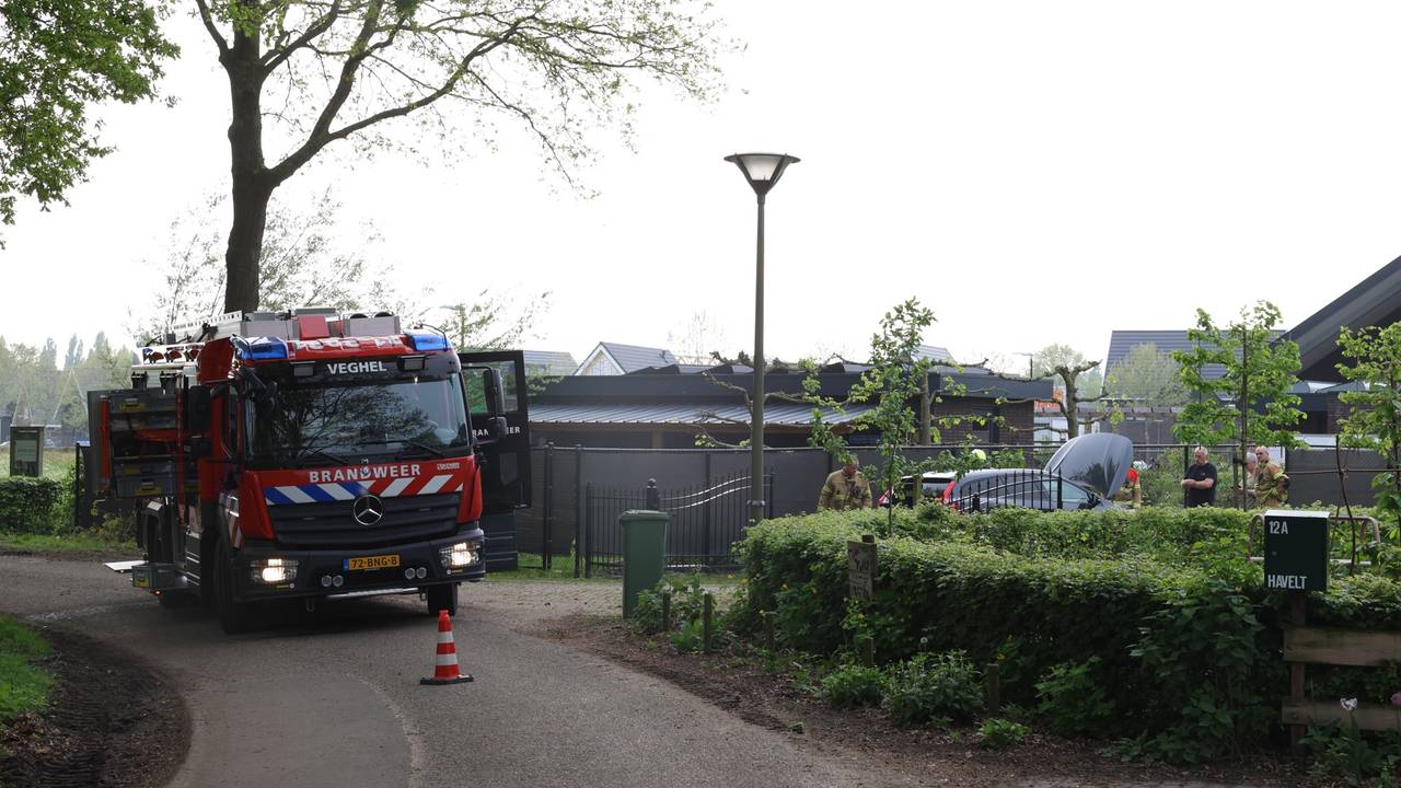 Foto: Sander van Gils/SQ Vision