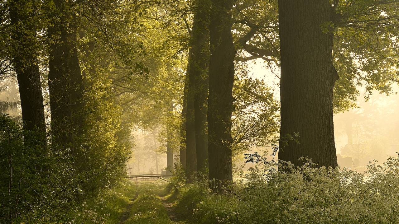 Ga naar slide 2