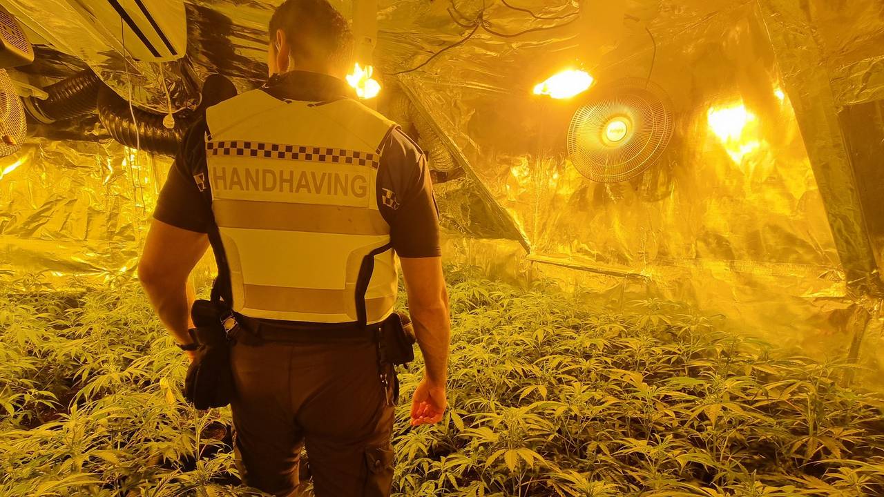 Een illegale wietkwekerij (foto: Twitter / Handhaving Roosendaal).