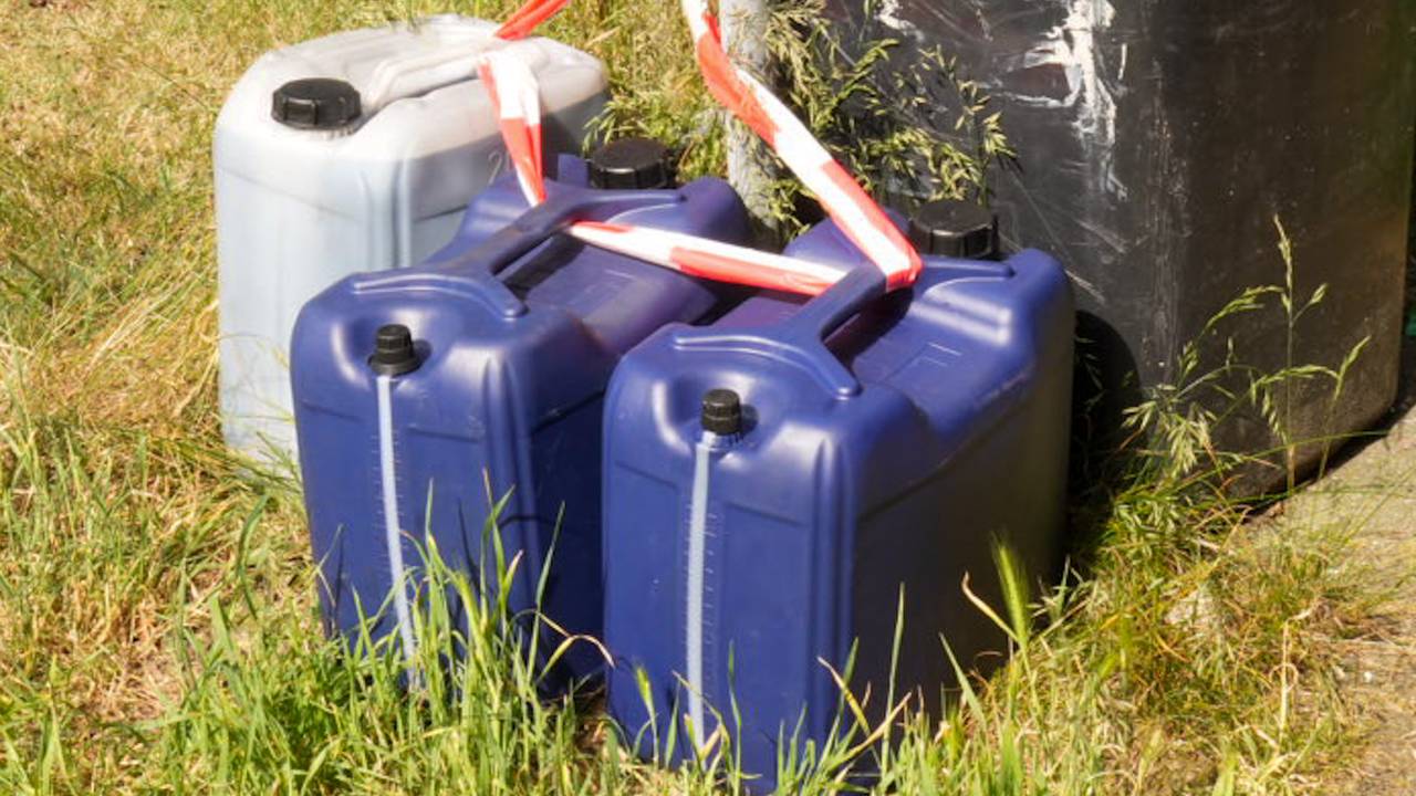 Foto: Harrie Grijseels/SQ Vision. 