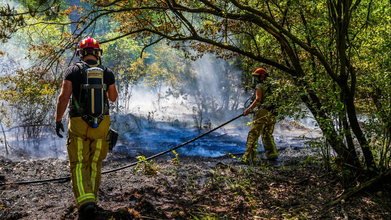 Foto: Dave Hendriks/SQ Vision.