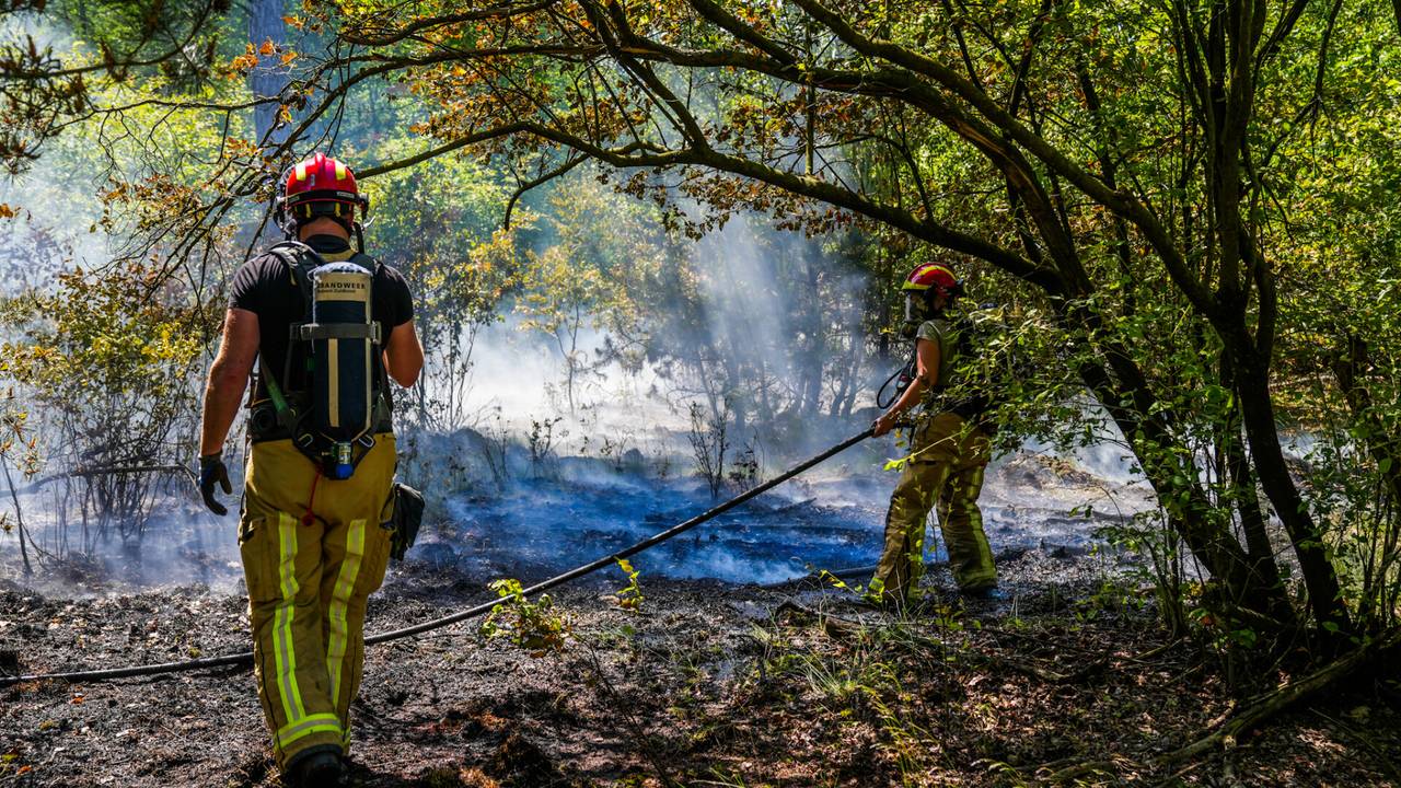 Een natuurbrand in Heeze (foto: Dave Hendriks/SQ Vision).