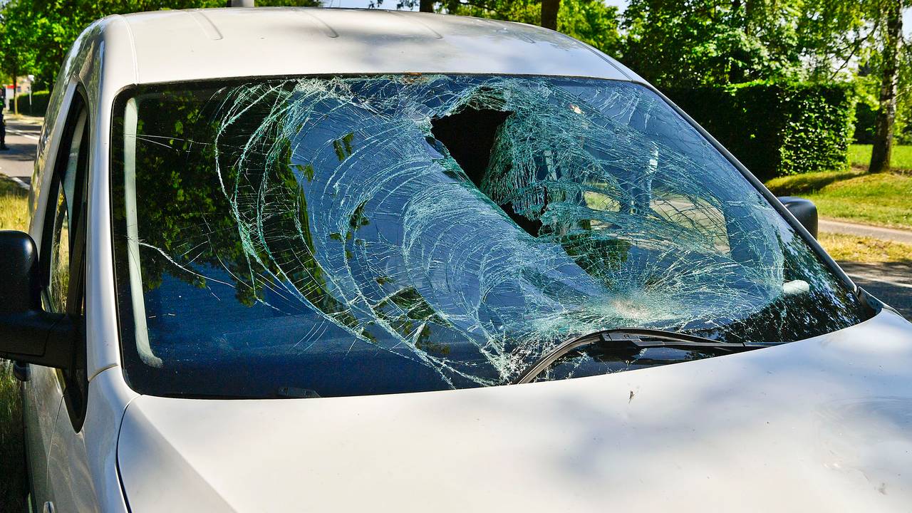 Foto: Rico Vogels/SQ Vision.