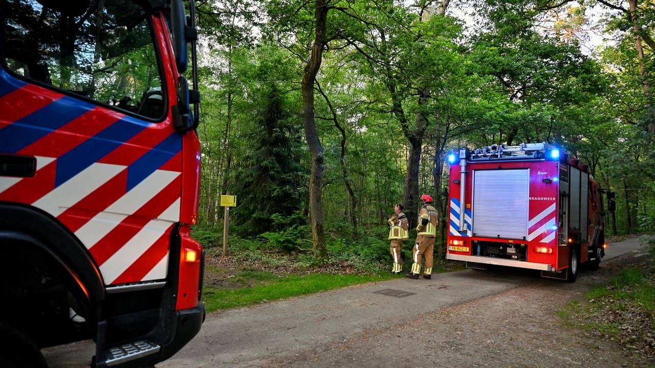 Foto: Toby de Kort/SQ Vision.