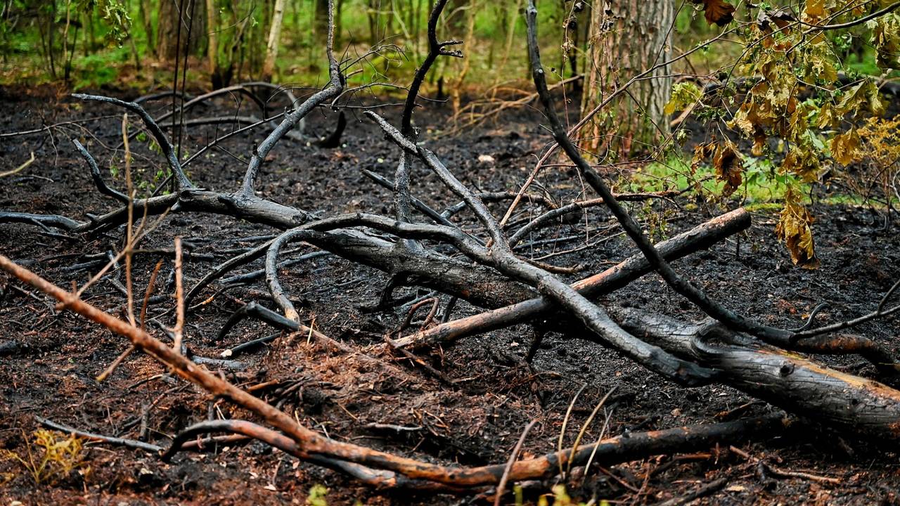 Foto: Toby de Kort/SQ Vision.