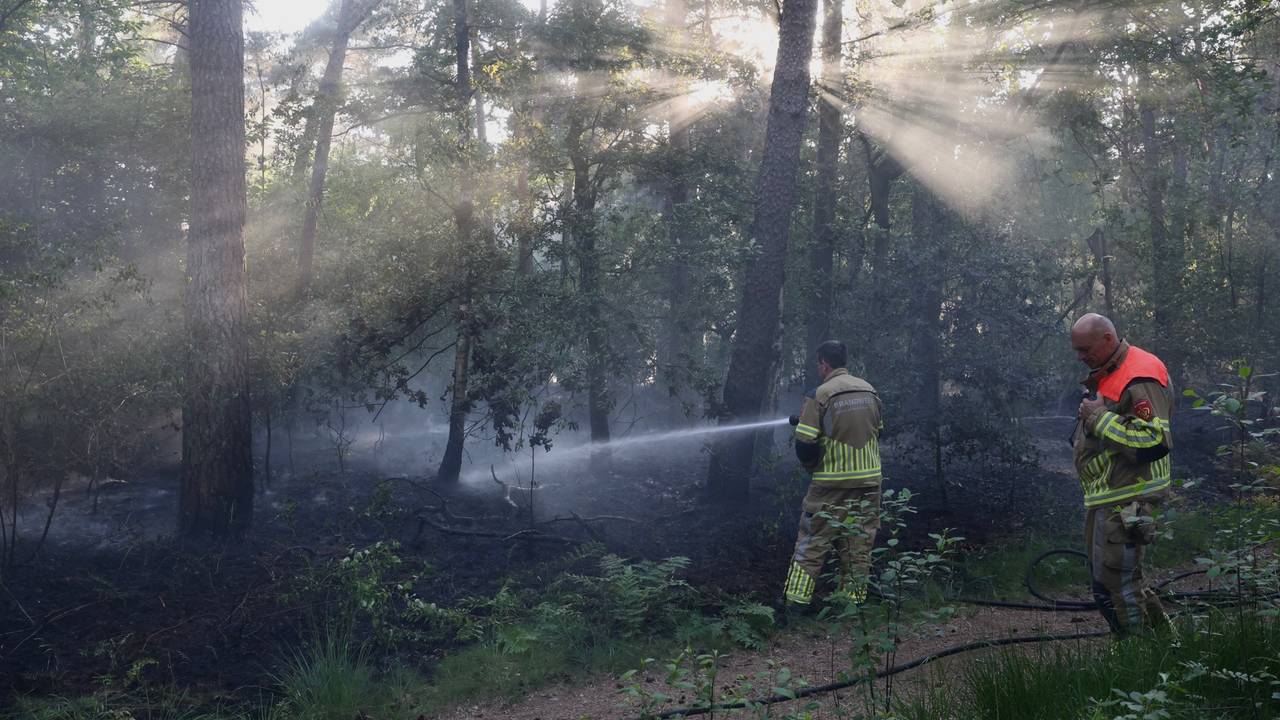 Foto: Sander van Gils / SQ Vision