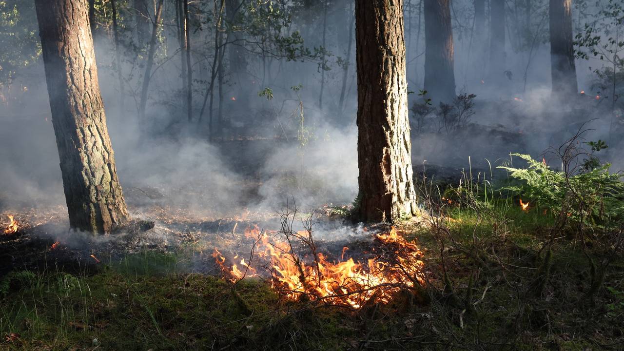 Foto: Sander van Gils / SQ Vision