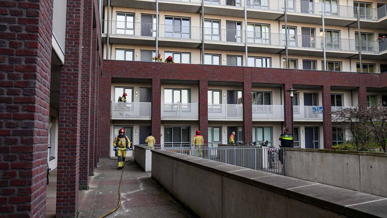 Foto: Harrie Grijseels / SQ Vision