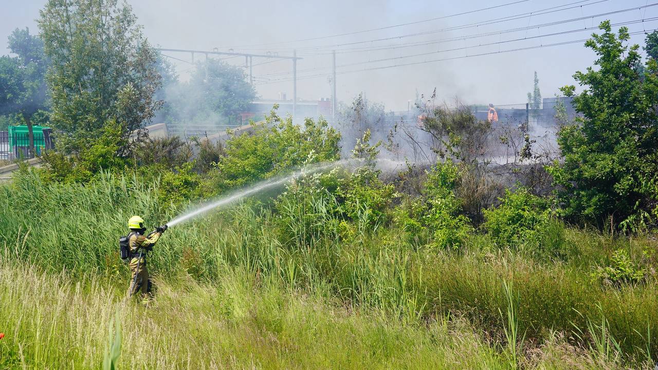 Foto: Jeroen Stuve/SQ Vision.