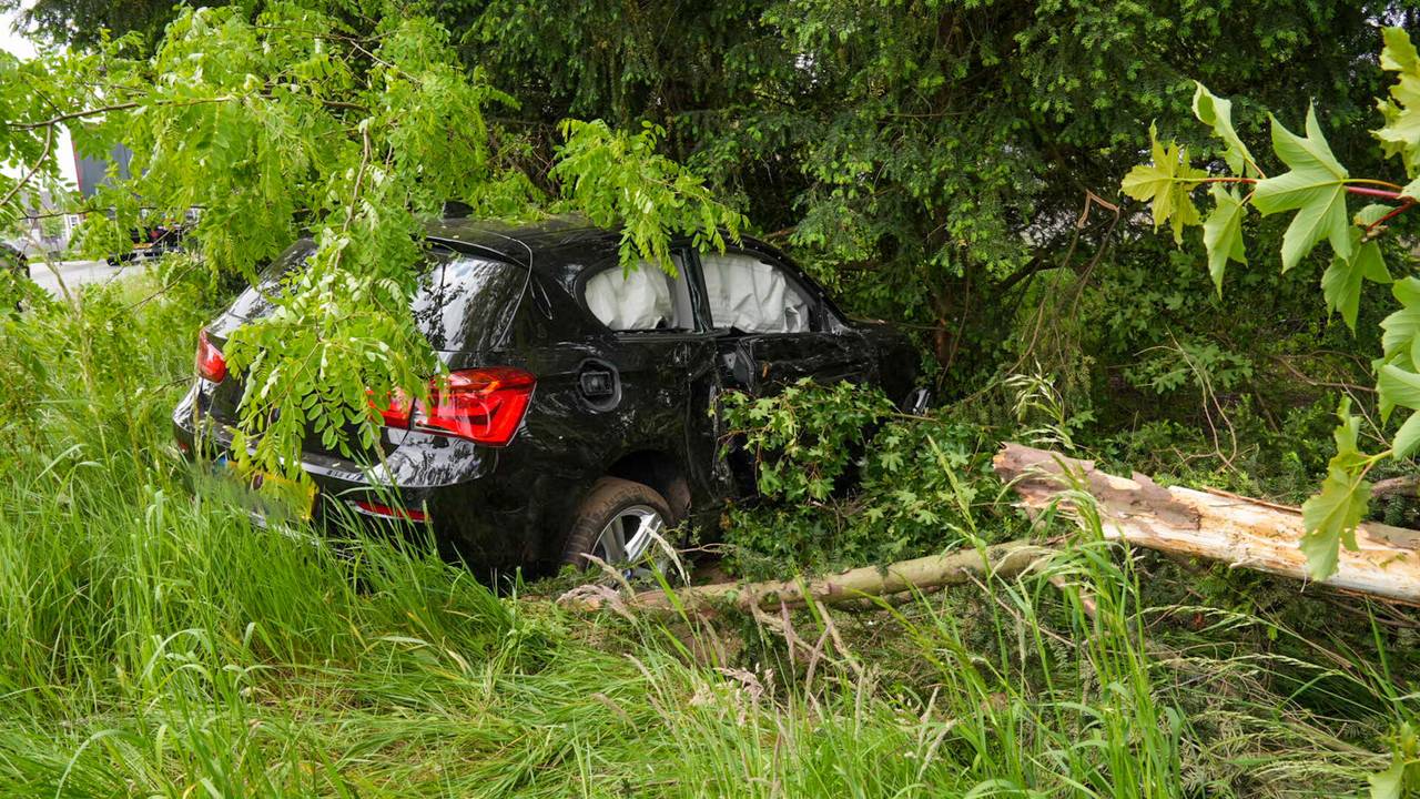 Foto: Harrie Grijseels/SQ Vision.