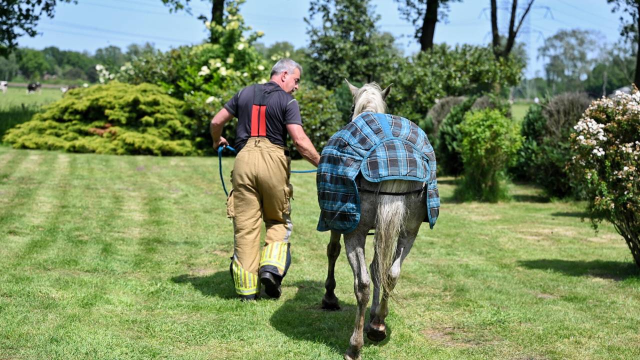 Foto: SQ Vision/Toby de Kort