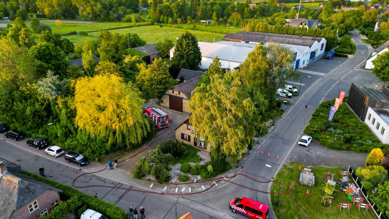 Foto: Jurgen Versteeg/SQ Vision Mediaprodukties