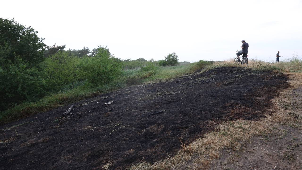 Foto: Sander van Gils / SQ Vision