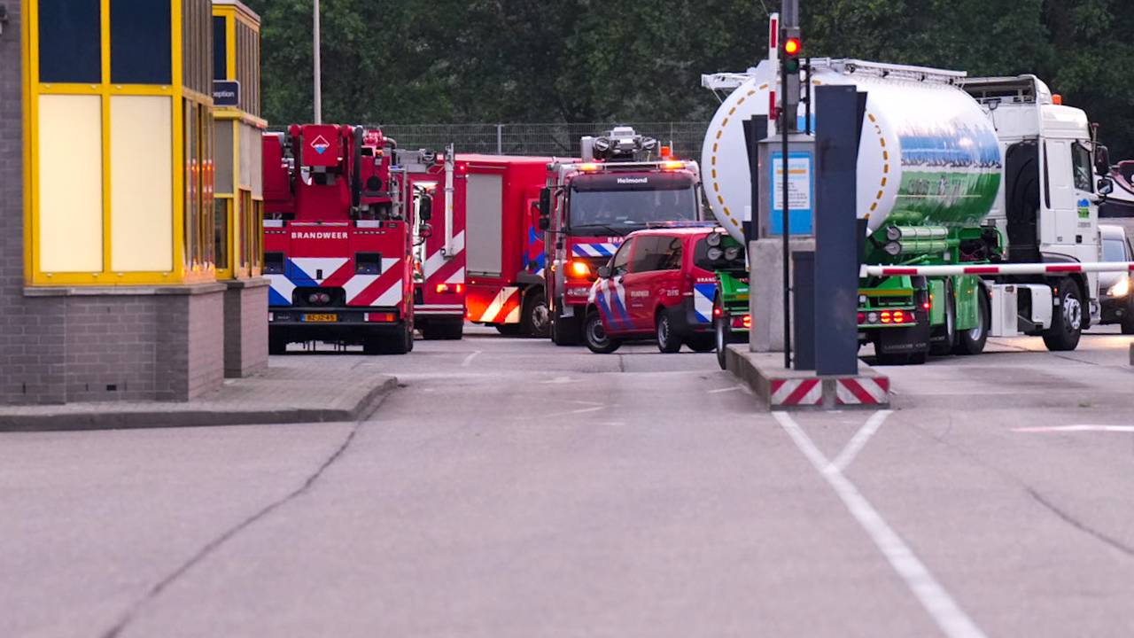 Foto: Harrie Grijseels / SQ Vision