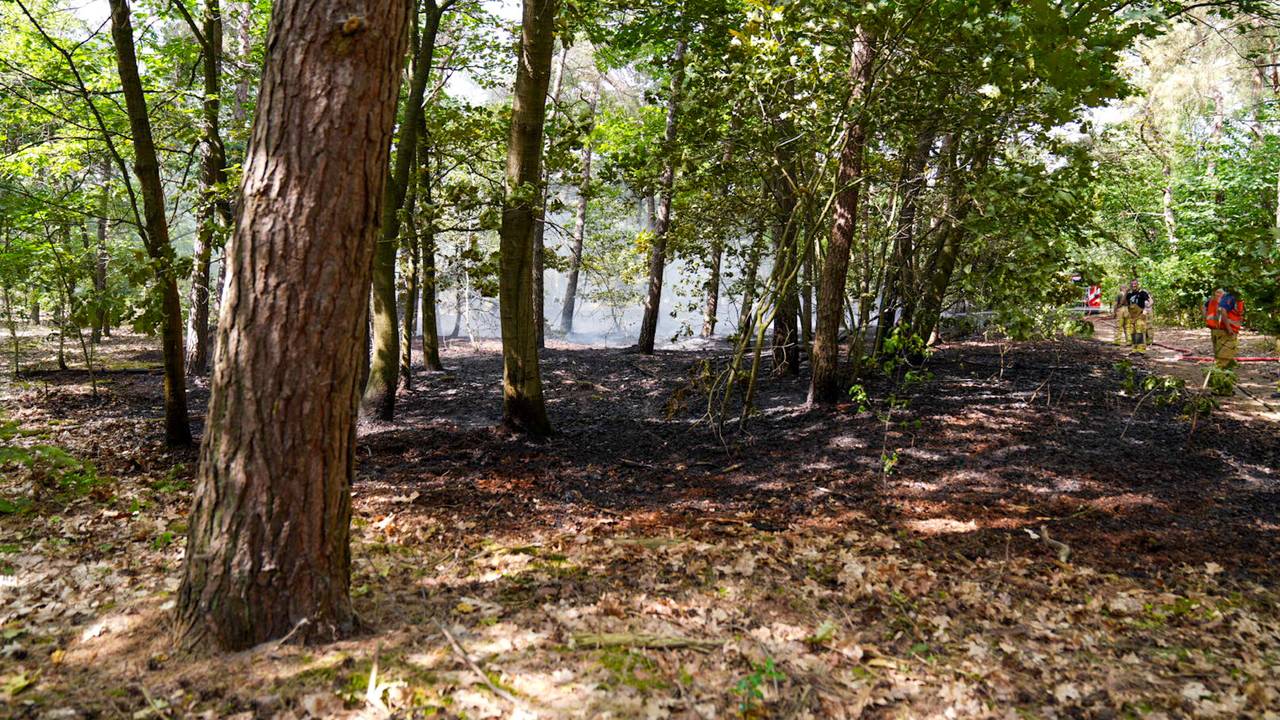 Foto: Harrie Grijseels / SQ Vision