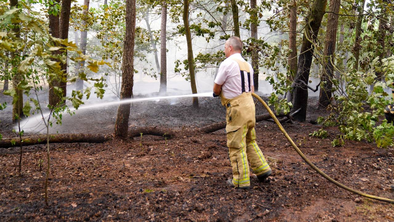 Foto: Harrie Grijseels / SQ Vision