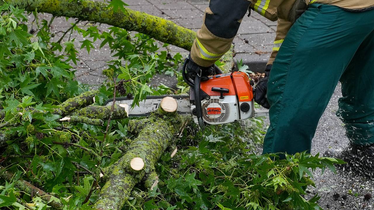 Foto: Gabor Heeres/SQ Vision