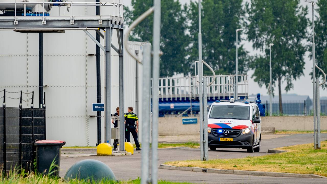 Foto: Jurgen Versteeg/SQ Vision.