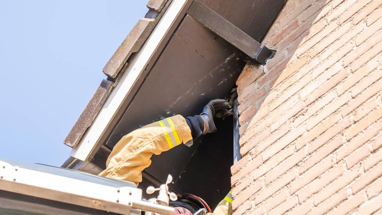 Foto: Dave Hendriks/SQ Vision.