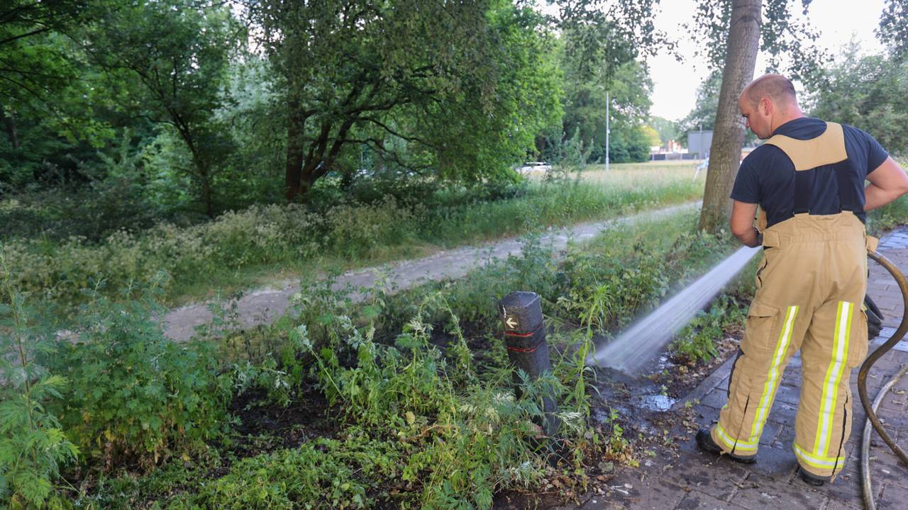 Foto: Arno van der Linden/SQ Vision