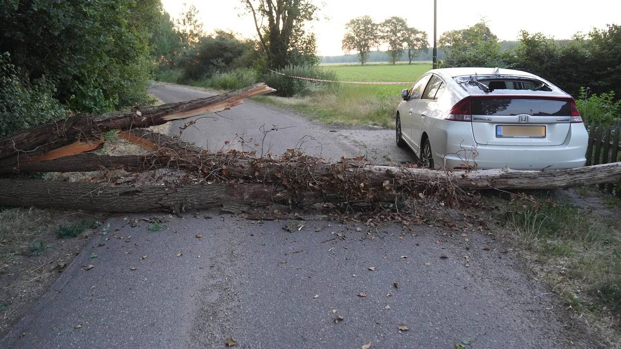 Schade aan auto  en huis door omgevallen boom (Foto: SQ Vision)