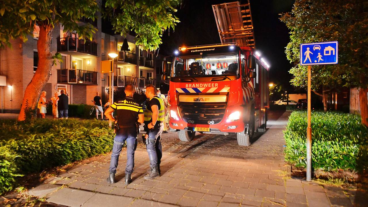 Foto: Rico Vogels / SQ Vision