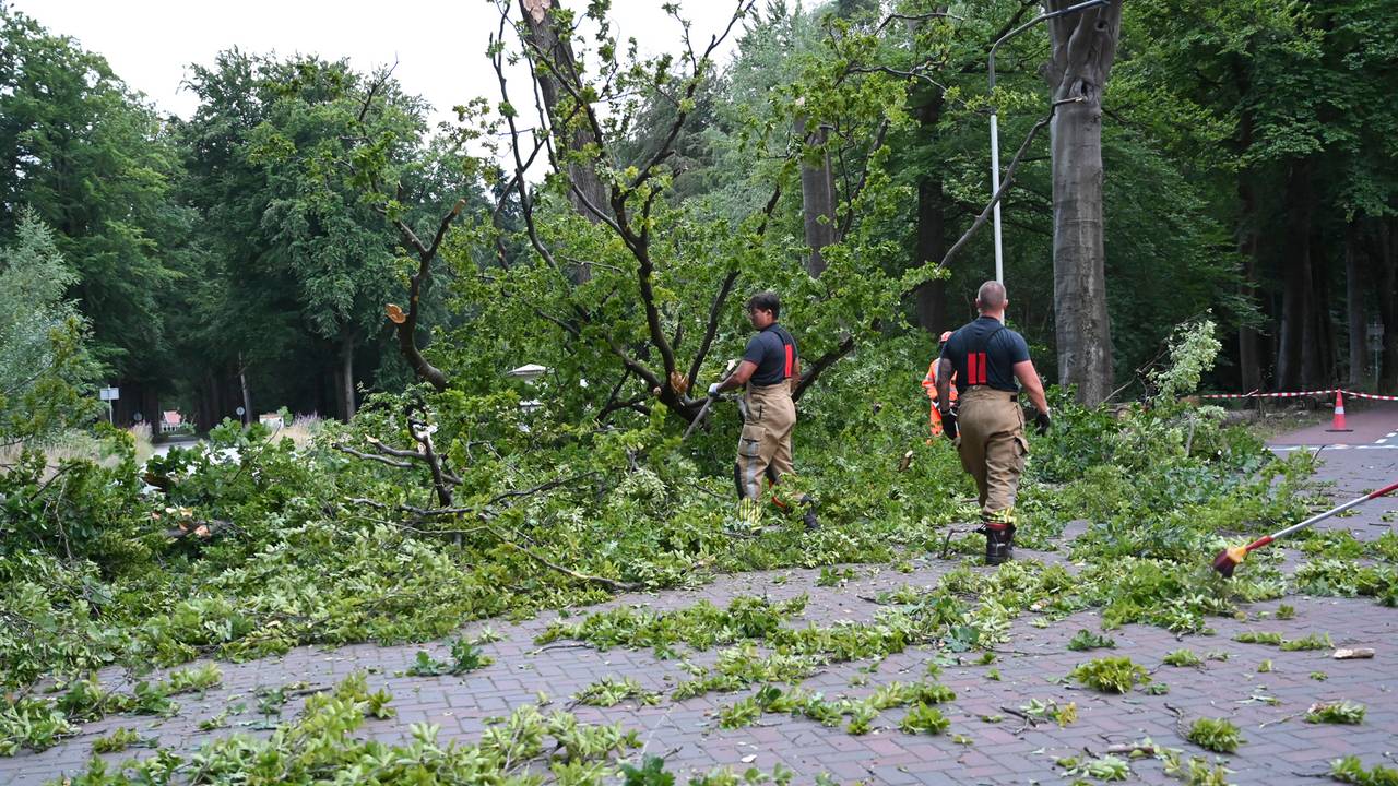 Foto: Perry Roovers/SQ Vision. 