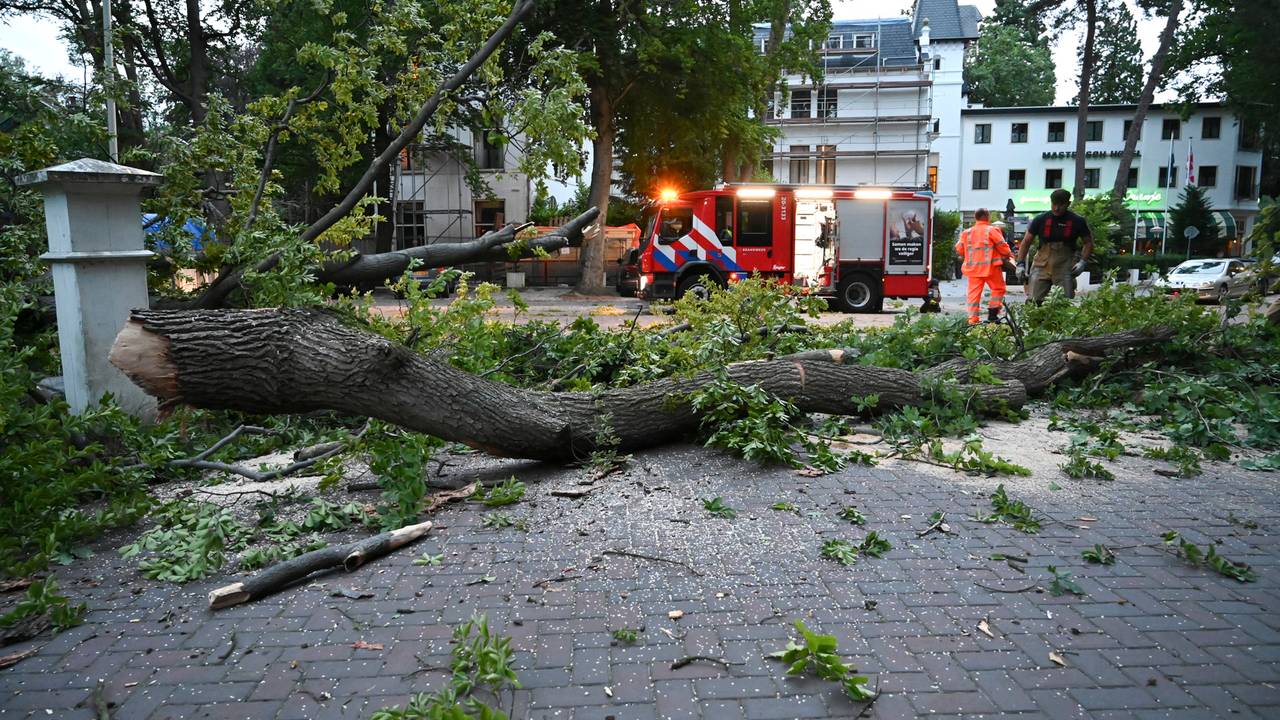 Foto: Perry Roovers/SQ Vision. 