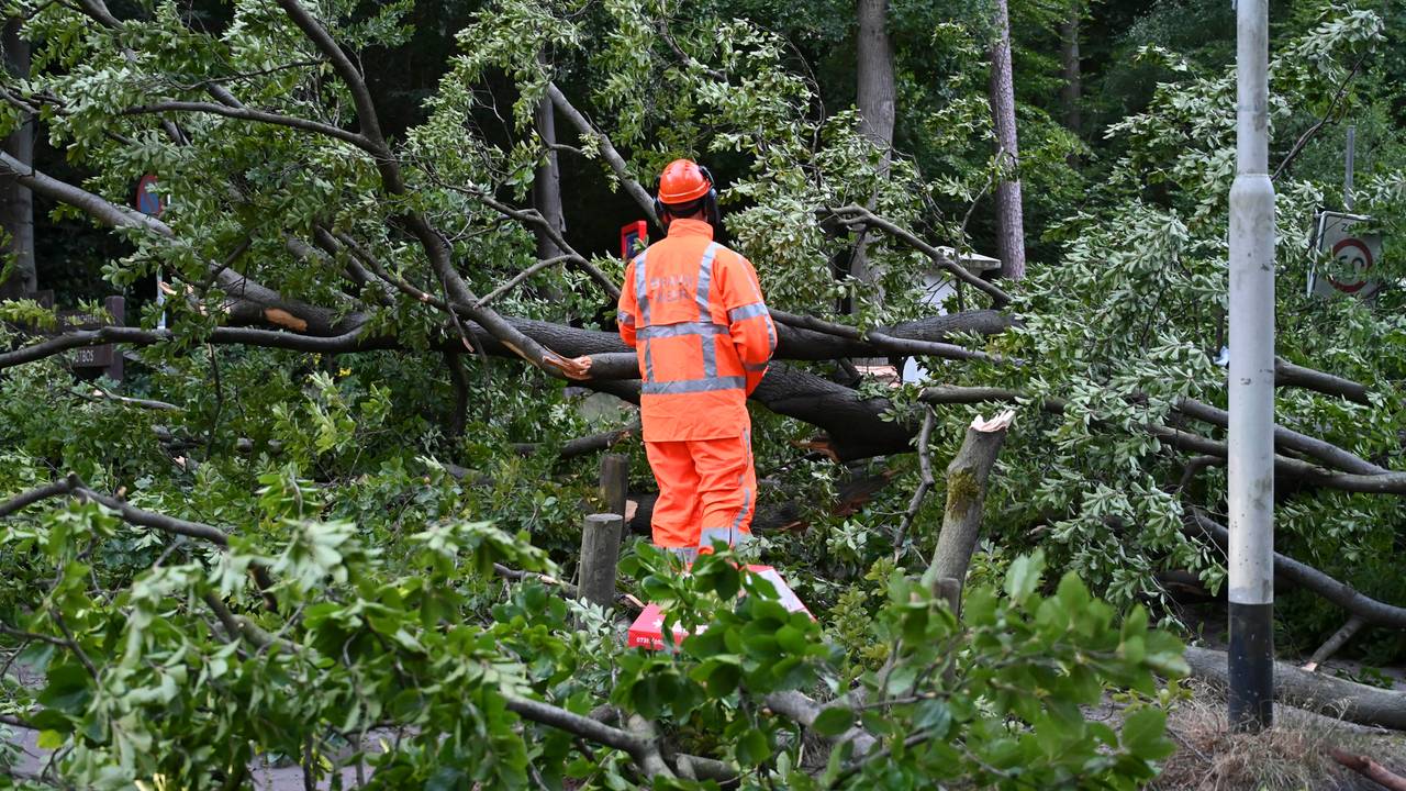 Foto: Perry Roovers/SQ Vision. 