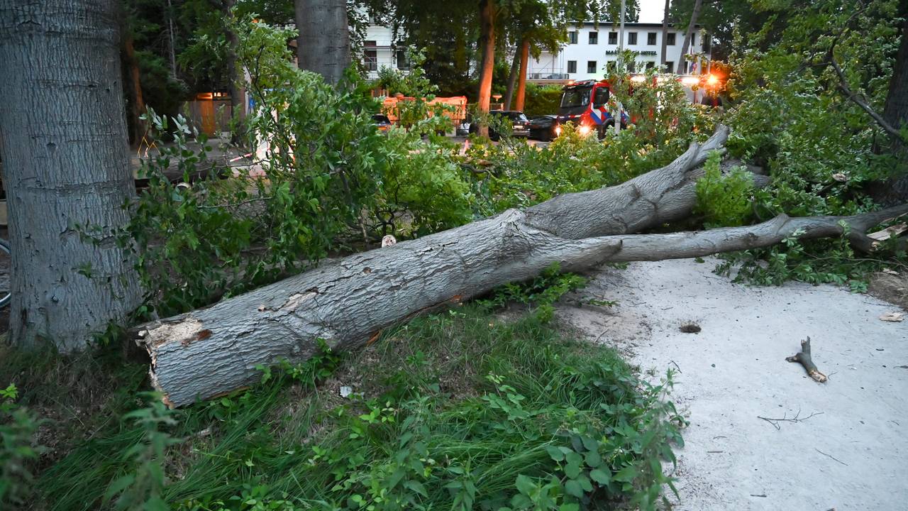 Foto: Perry Roovers/SQ Vision. 