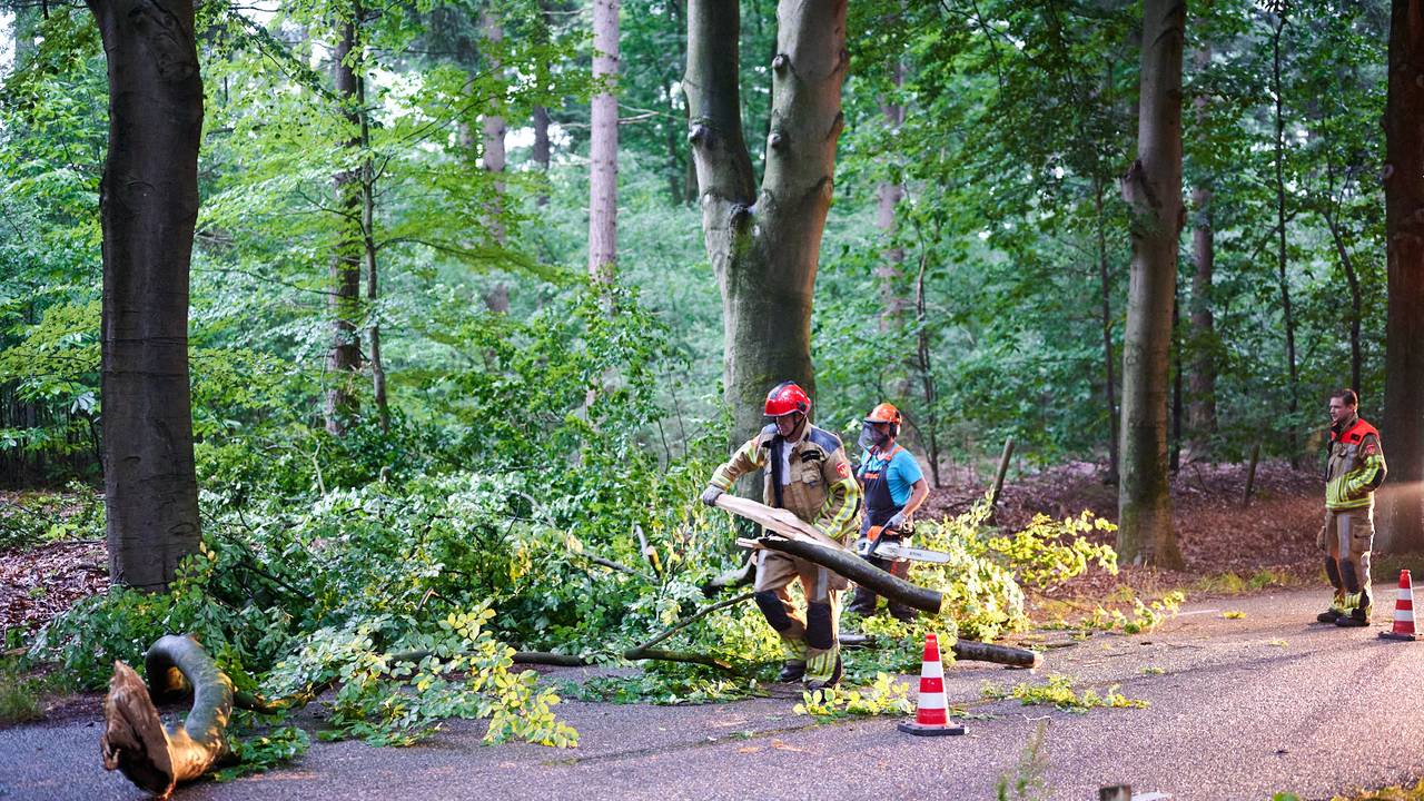Foto: SQ Vision/Tom van der Put