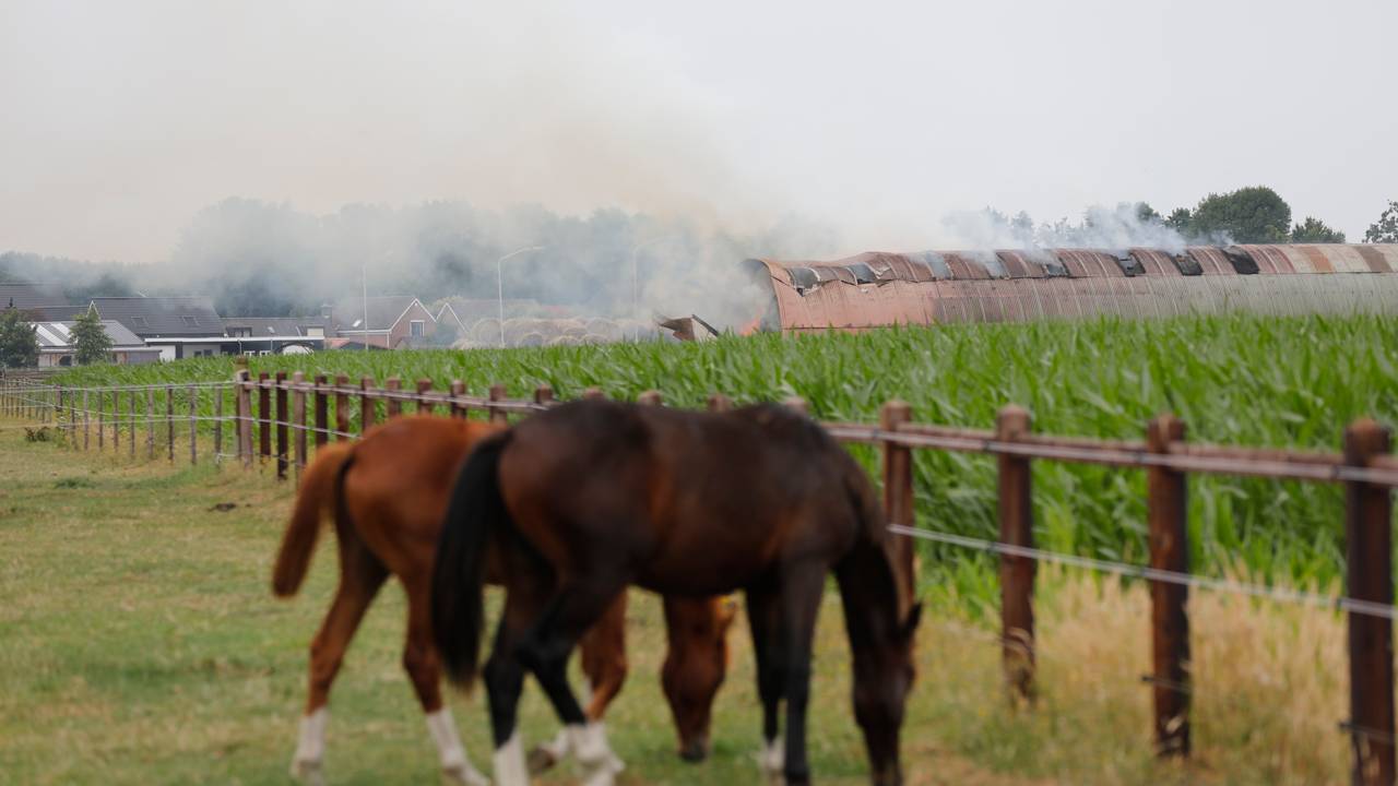 Foto: Christian Traets/SQ Vision