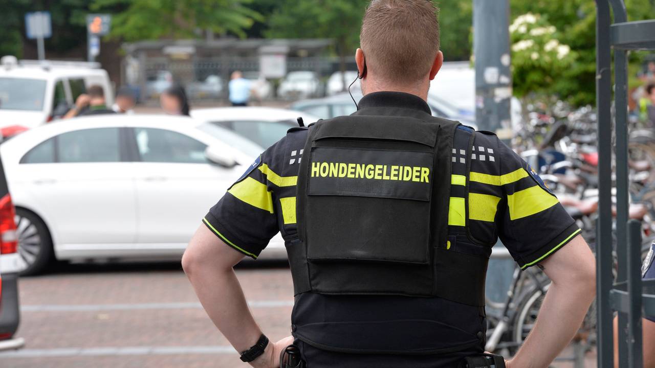 Foto: Perry Roovers/SQ Vision