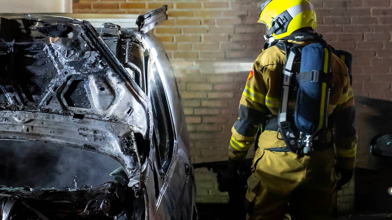 Foto: Gabor Heeres / SQ Vision