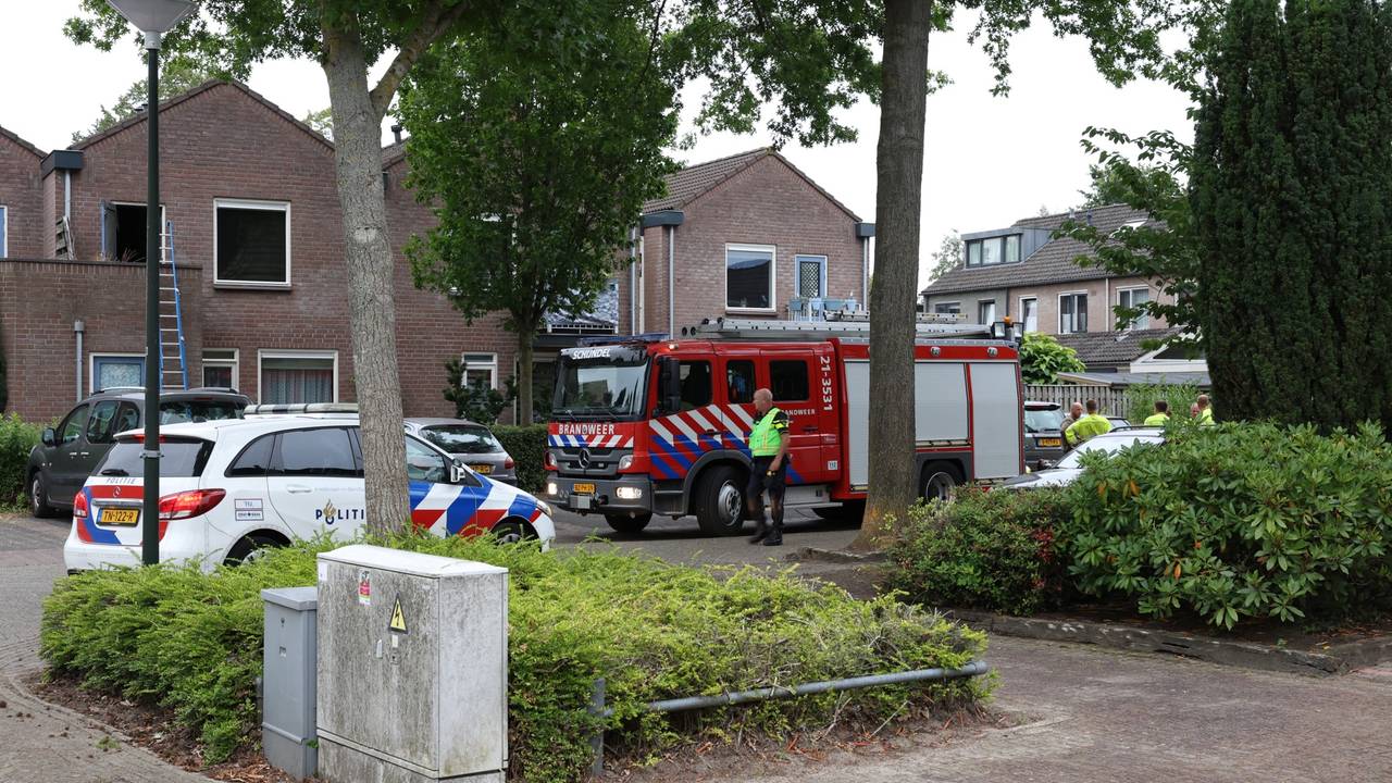 Foto: Sander van Gils / SQ Vision