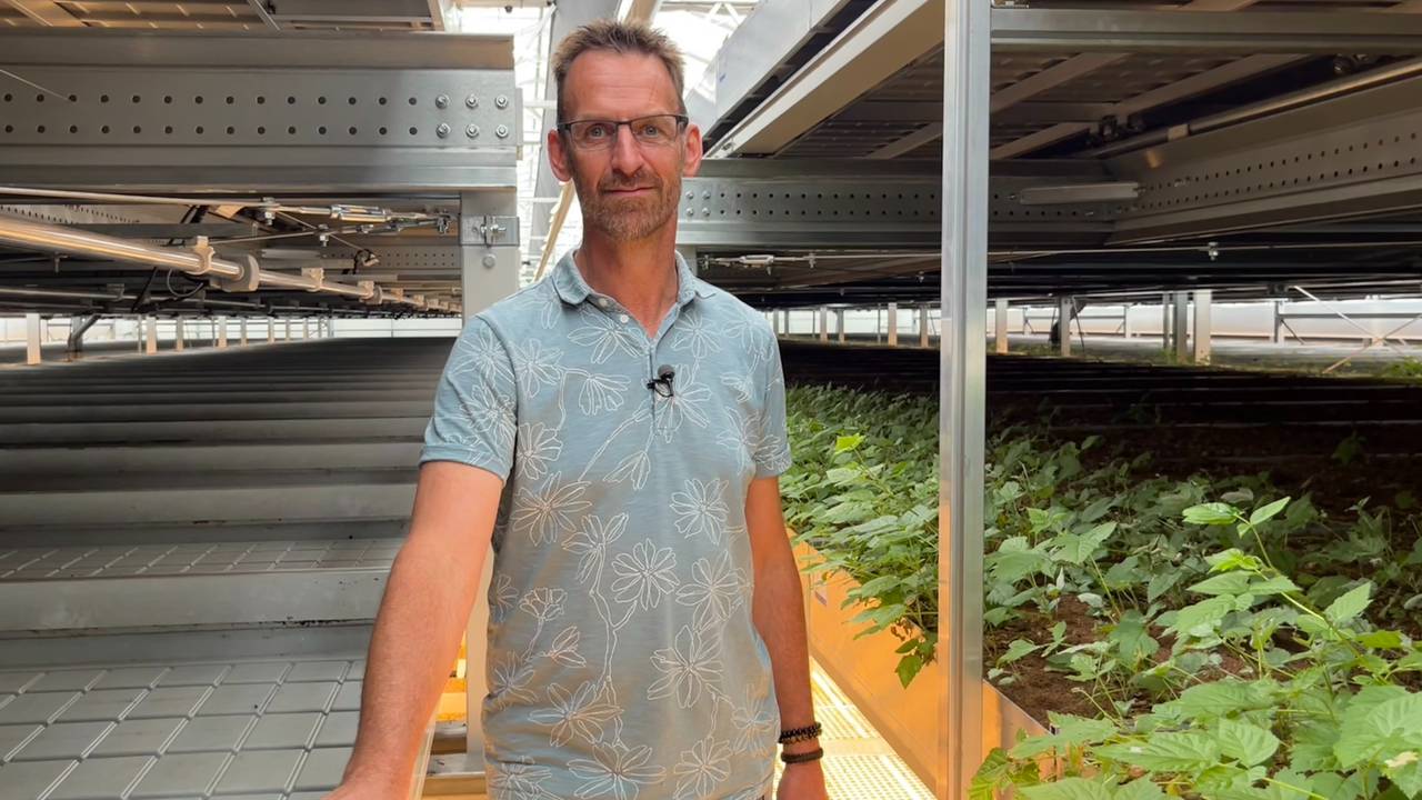 Peter van der Avoird bij zijn lagensysteem.