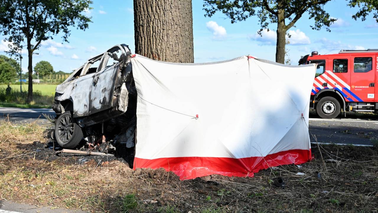 Tilburger komt om het leven bij botsing tegen boom.