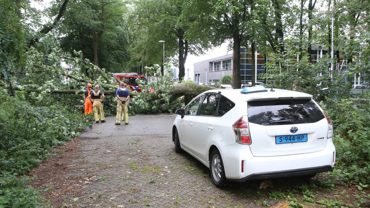 Taxi Driver Trapped After Tree Falls on Road in Eindhoven