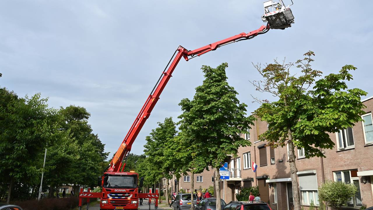 Foto: Perry Roovers / SQ Vision