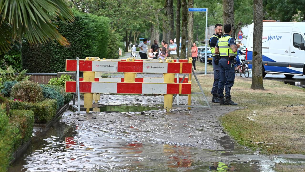 Foto: Perry Roovers / SQ Vision