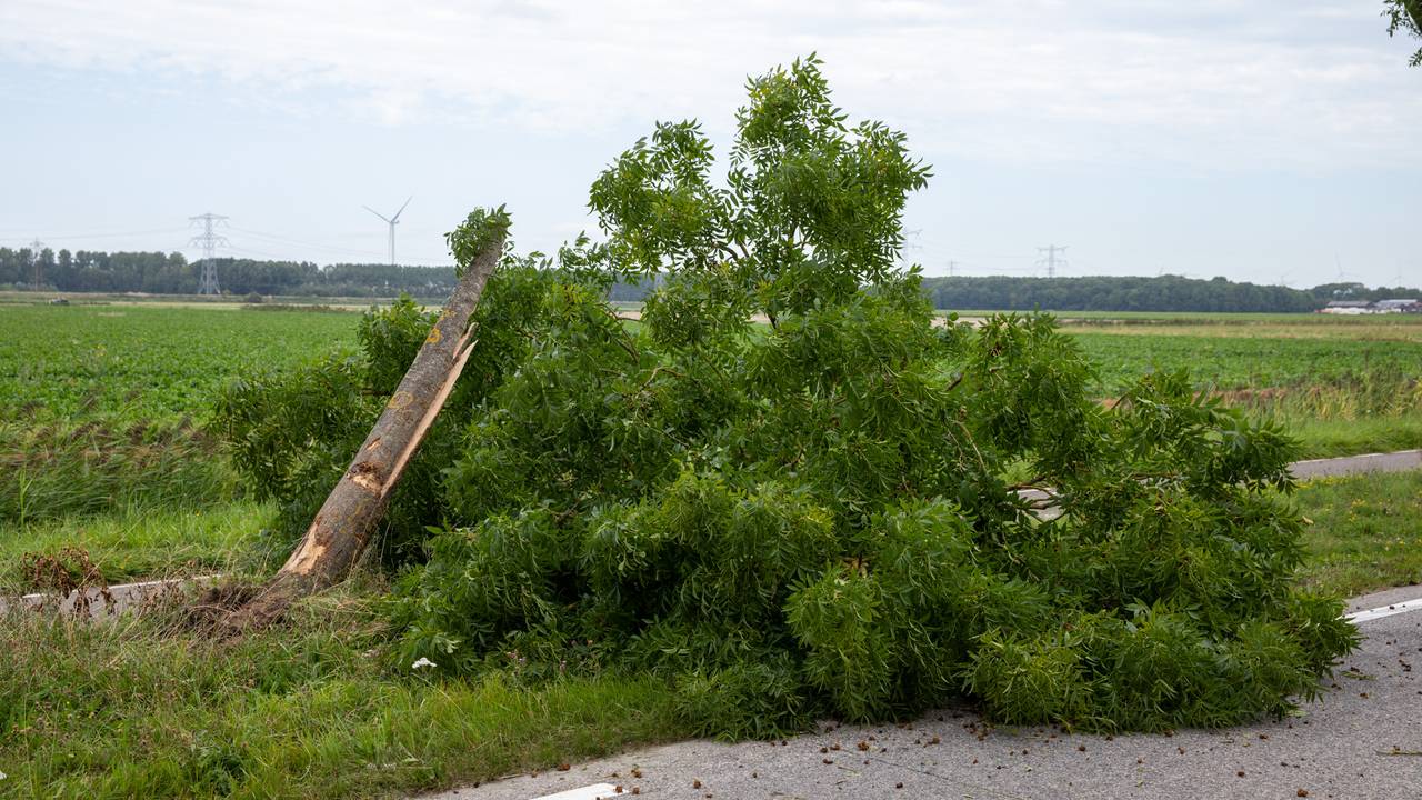 Foto: Christian Traets/SQ Vision.