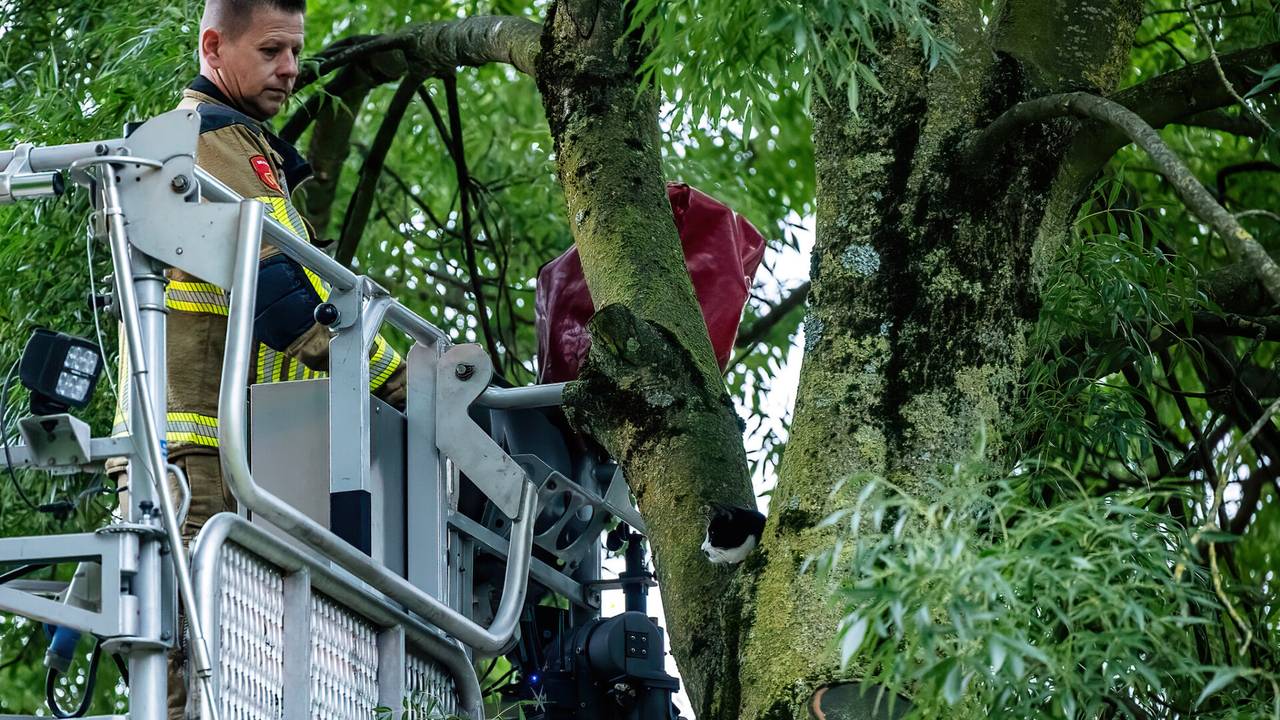 Foto: Jack Brekelmans/SQ Vision