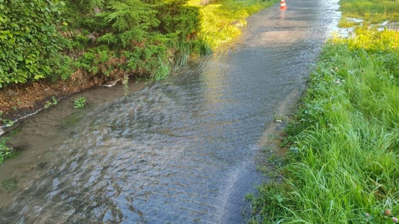 Foto: www.heeze-leende24.nl