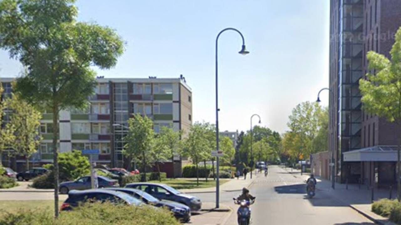 De Straakvense Bosdijk (foto: Google Maps).